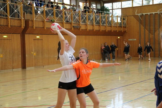 2016_02_14 Landesliga Jugend 19